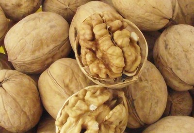 許昌價(jià)格合理的薄皮核桃供應(yīng)信息及廠家介紹